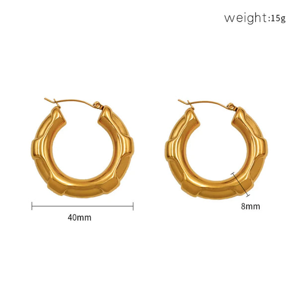 Geometric Earrings | Titanium Steel