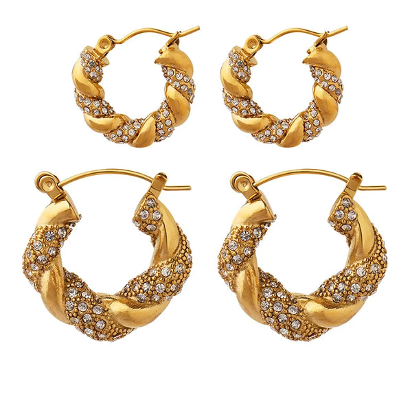 Artistic Zircon Earrings | Stainless Steel