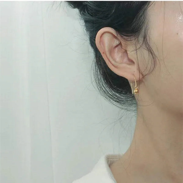 Display Drop Earrings | 925 Sterling Silver